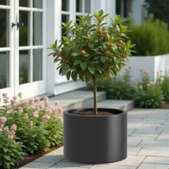 Heavy Duty Corten Steel Round Raised Garden Bed Kit, Pre-Rusted Metal Planter Box For Vegetables, Flowers, Herbs – White – Ideal For Outdoor Gardening -Outdoor Living Gardens GUEST 763f4379 b974 4d3d a69d 23eb0e2ef45e