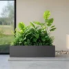 36*10*10 Inch Large Metal Rectangular Planter With Drainage Holes For Indoor/Outdoor Use, Perfect For Tall Plants -Outdoor Living Gardens GUEST a68ed4dd 41b8 4e95 bdaf 71b7064e7f74